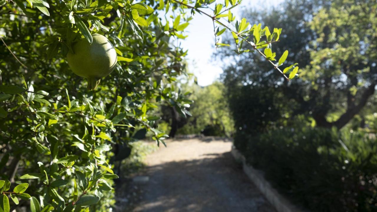 מונופולי Il Rifugio Nel Verde מראה חיצוני תמונה