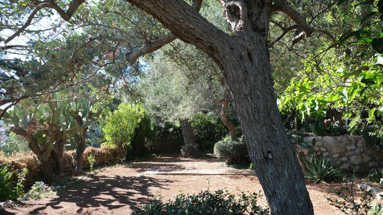מונופולי Il Rifugio Nel Verde מראה חיצוני תמונה