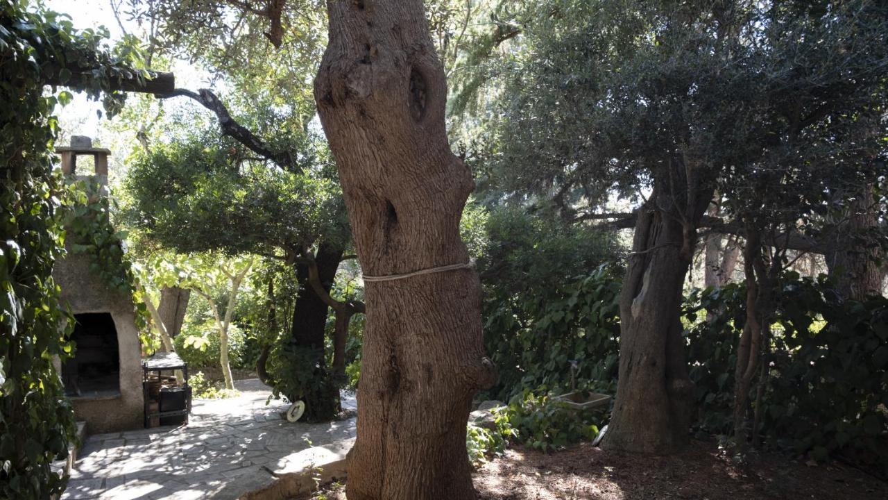 מונופולי Il Rifugio Nel Verde מראה חיצוני תמונה